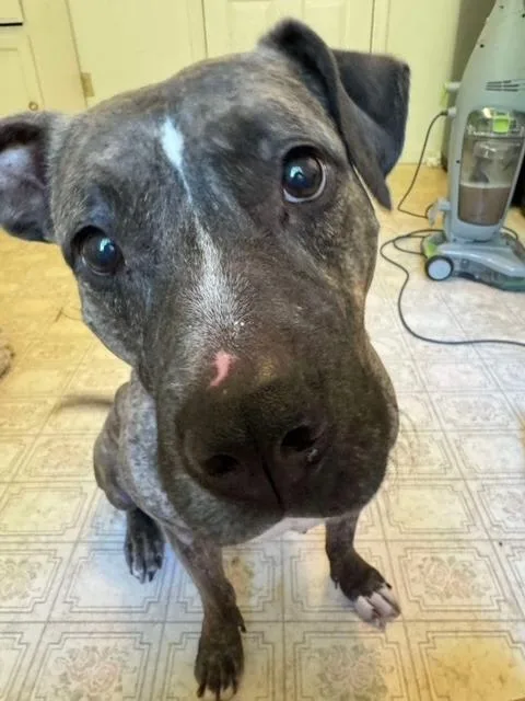 Trinity  A thumbnail 4