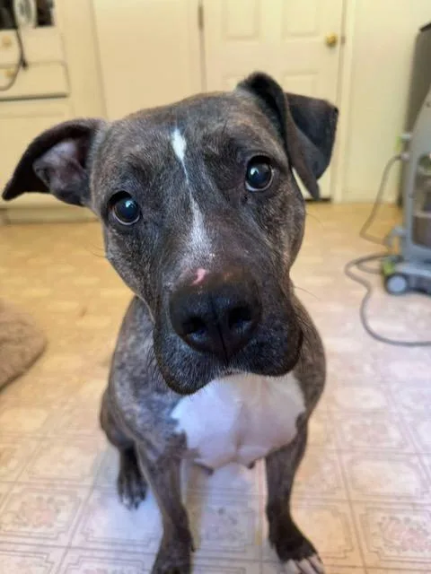 Trinity  A thumbnail 5