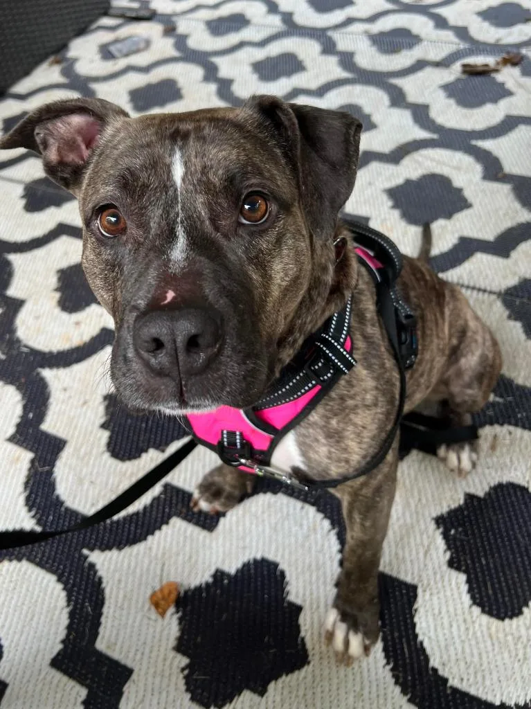 Trinity  A thumbnail 6