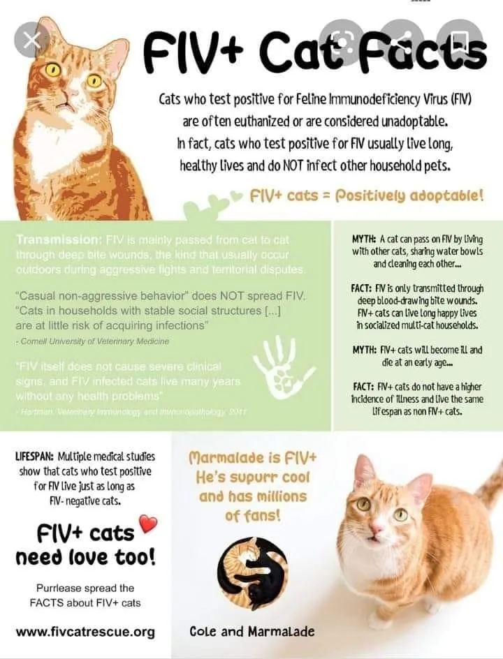 Oscar Ffc thumbnail 2