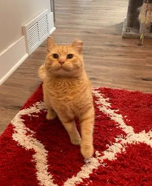 Oscar Ffc thumbnail 3