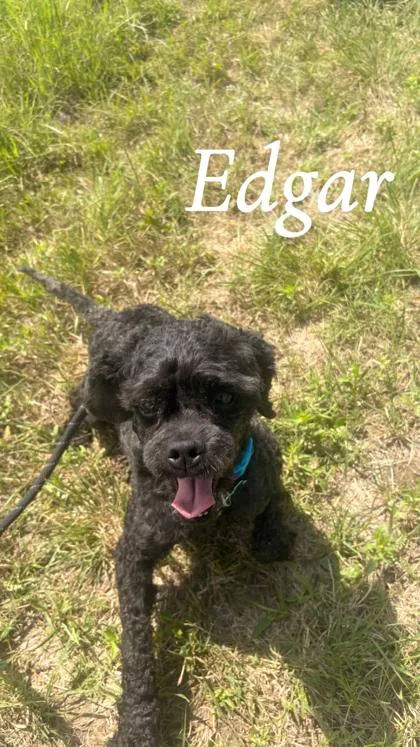 Edgar thumbnail 2