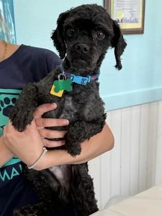 Edgar thumbnail 3