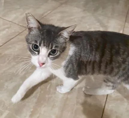 Taffy & Sushi thumbnail 3