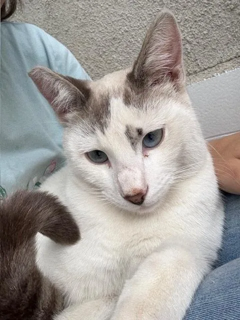 Taffy & Sushi thumbnail 5