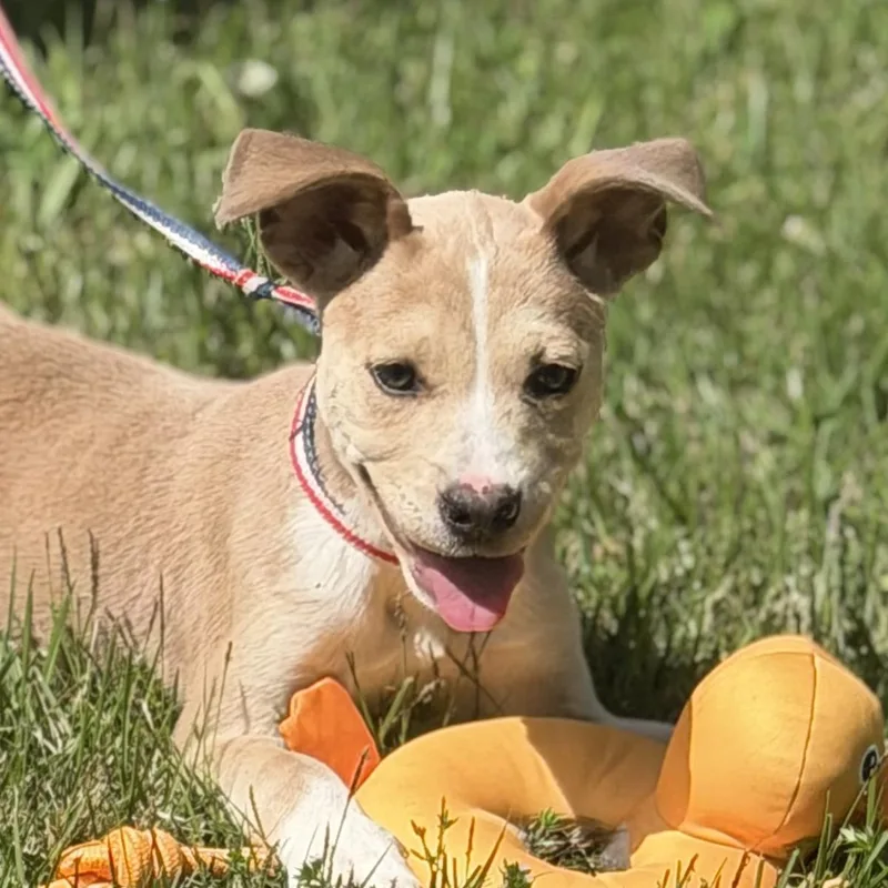 Milkyway thumbnail 2