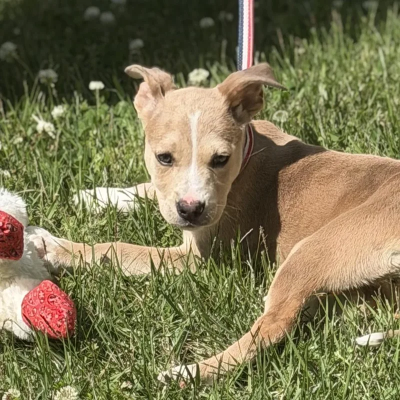 Milkyway thumbnail 3