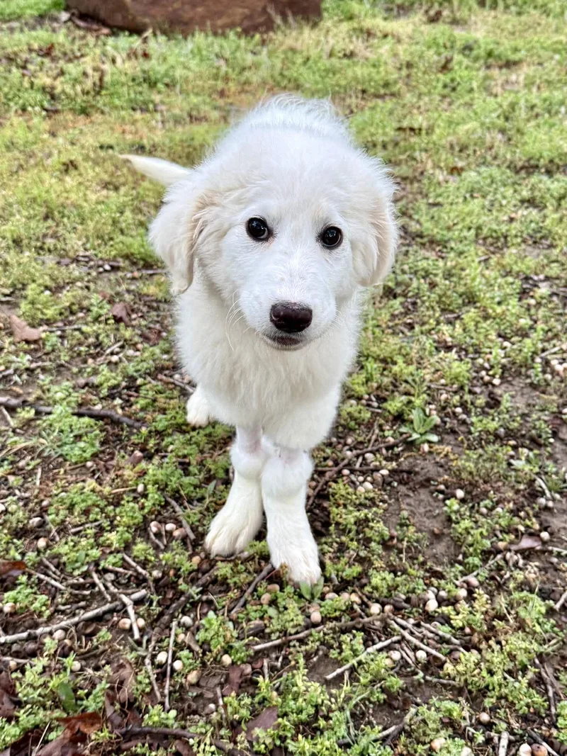 Michelle Visage thumbnail 5