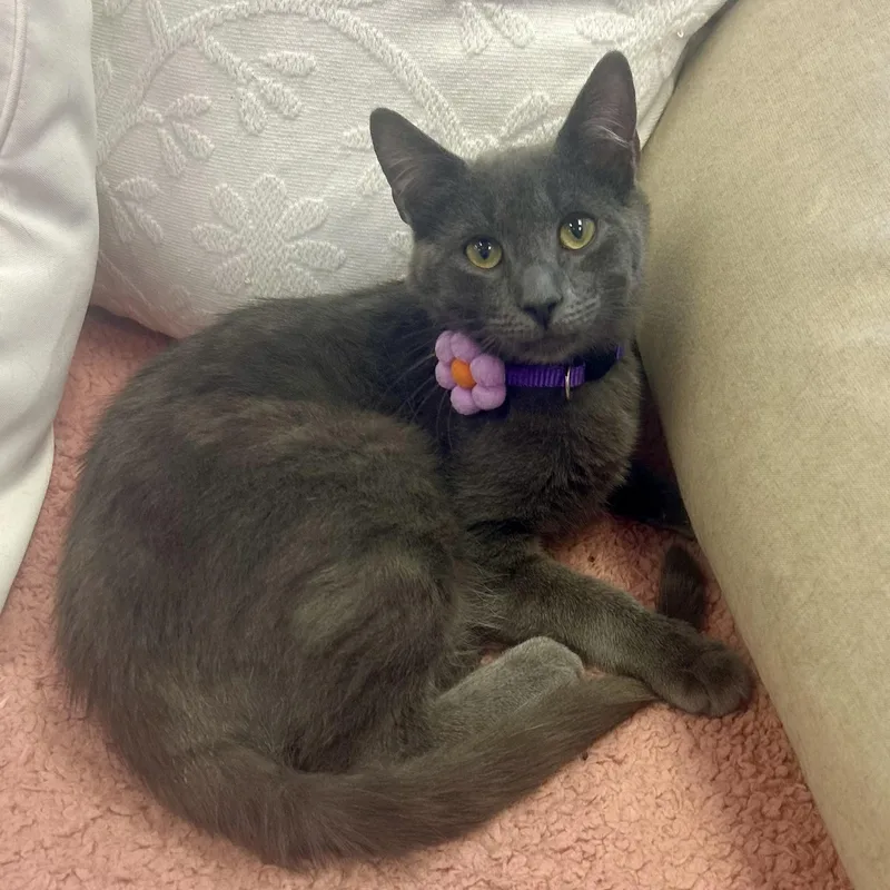 Jim Beam thumbnail 2