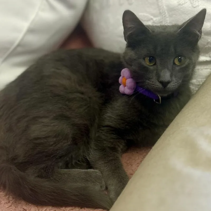 Jim Beam thumbnail 3