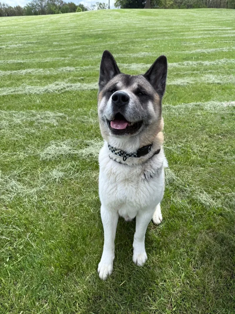 Zeke