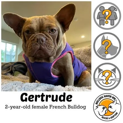 Gertrude