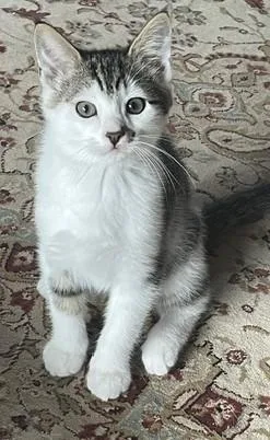 Doug