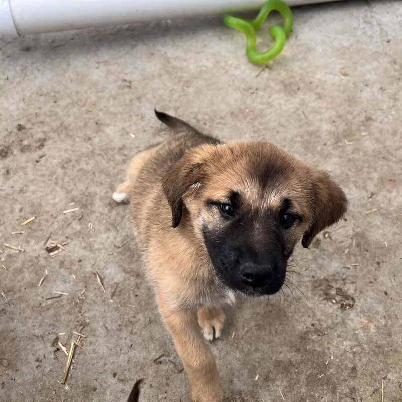 Eliza Excellent thumbnail 4