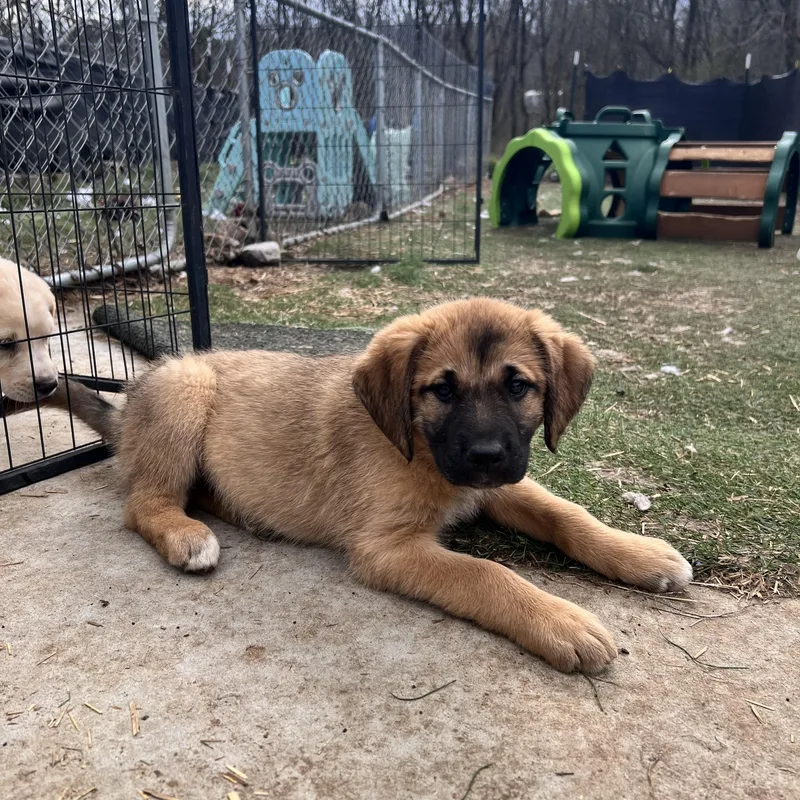 Eliza Excellent thumbnail 6