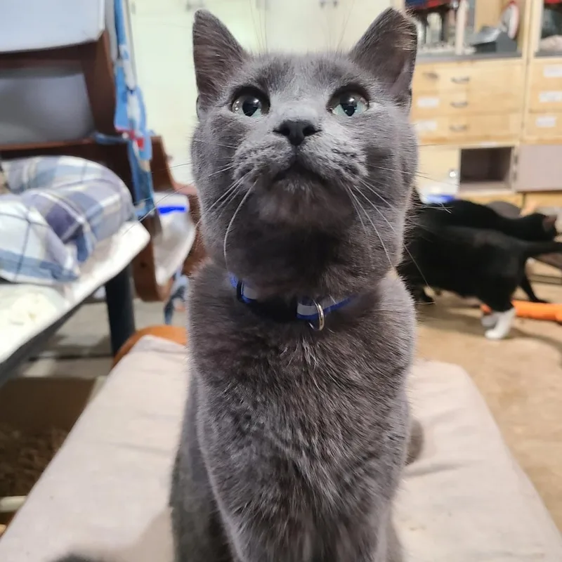 Estelle >>the "selfservice" Snuggler<<