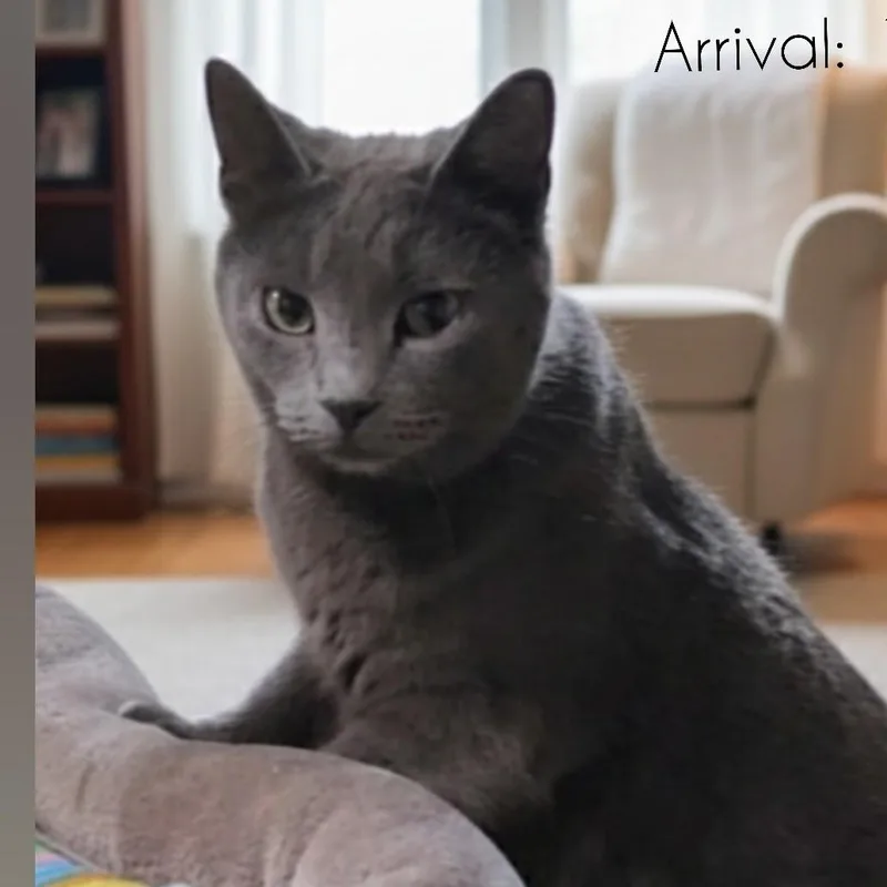 Estelle >>the "selfservice" Snuggler<< thumbnail 2