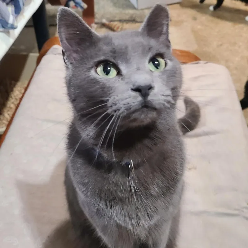 Estelle >>the "selfservice" Snuggler<< thumbnail 3