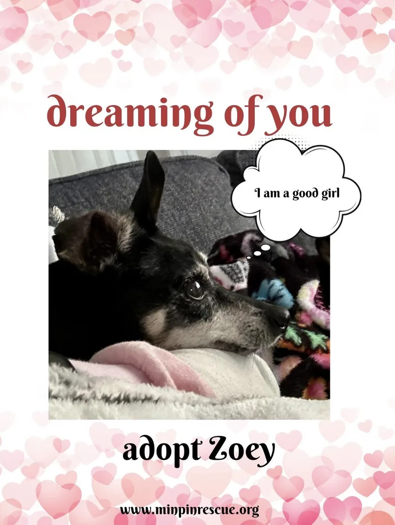Zoey thumbnail 2