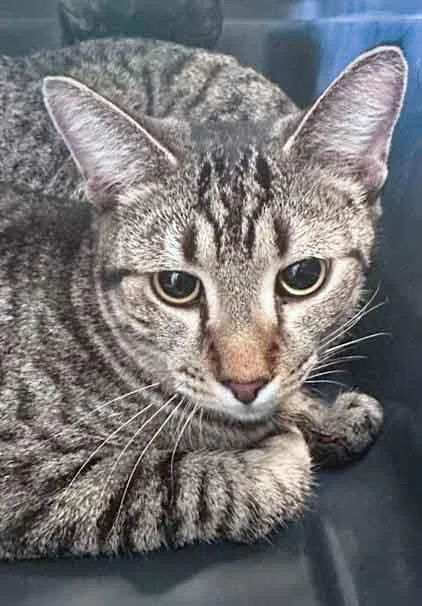 Bienvenue