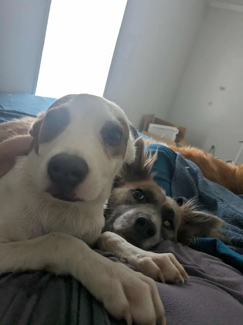 Gilligan  Gilligan Island thumbnail 4