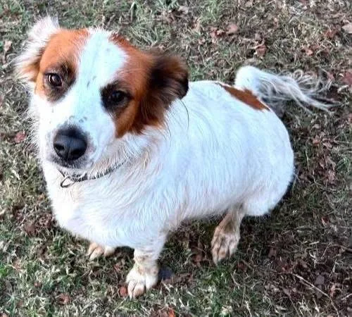 Penny
