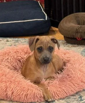 D Litter Smithers thumbnail 2