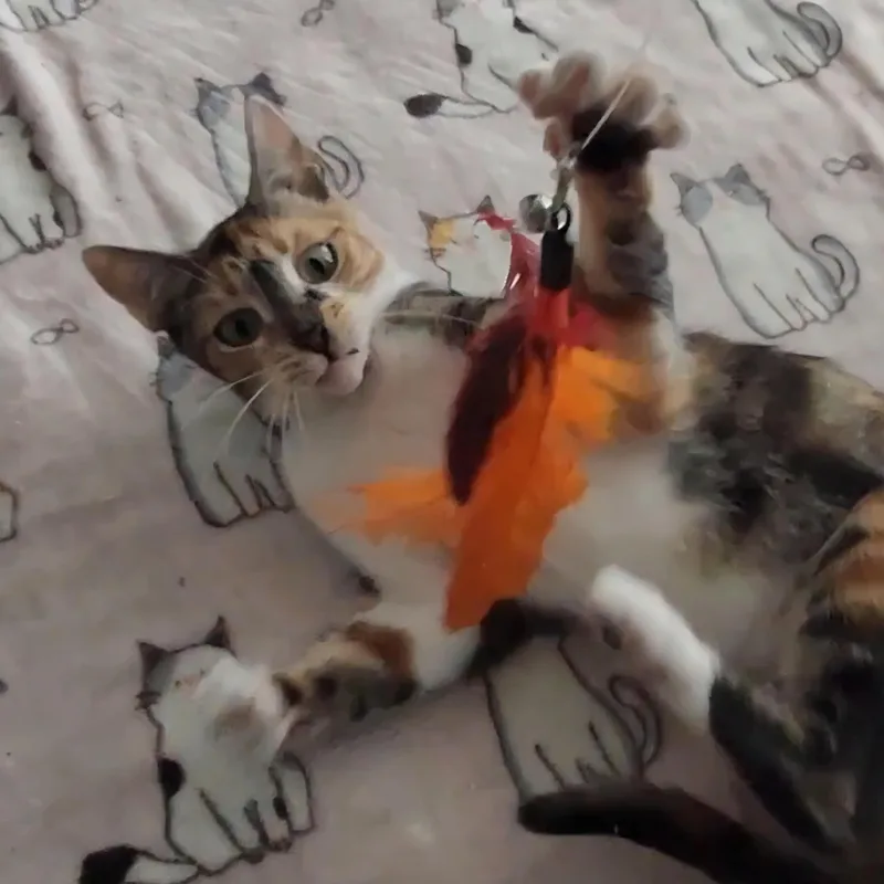 Gigi thumbnail 3