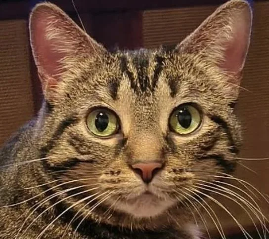 Zoey