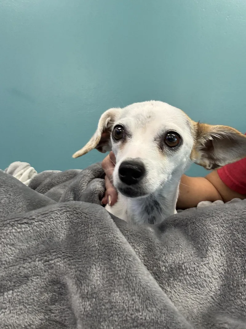 Allie Aka Mamas thumbnail 2