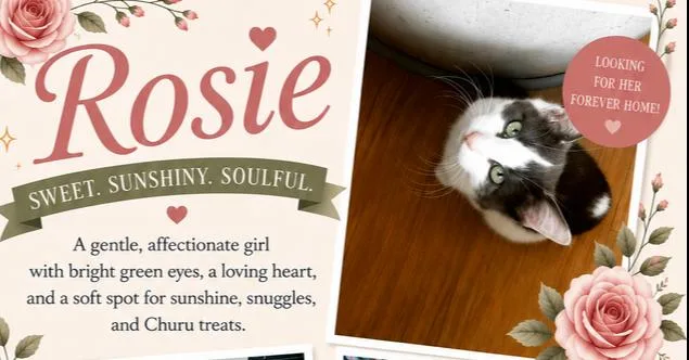 Rosie Posie thumbnail 2