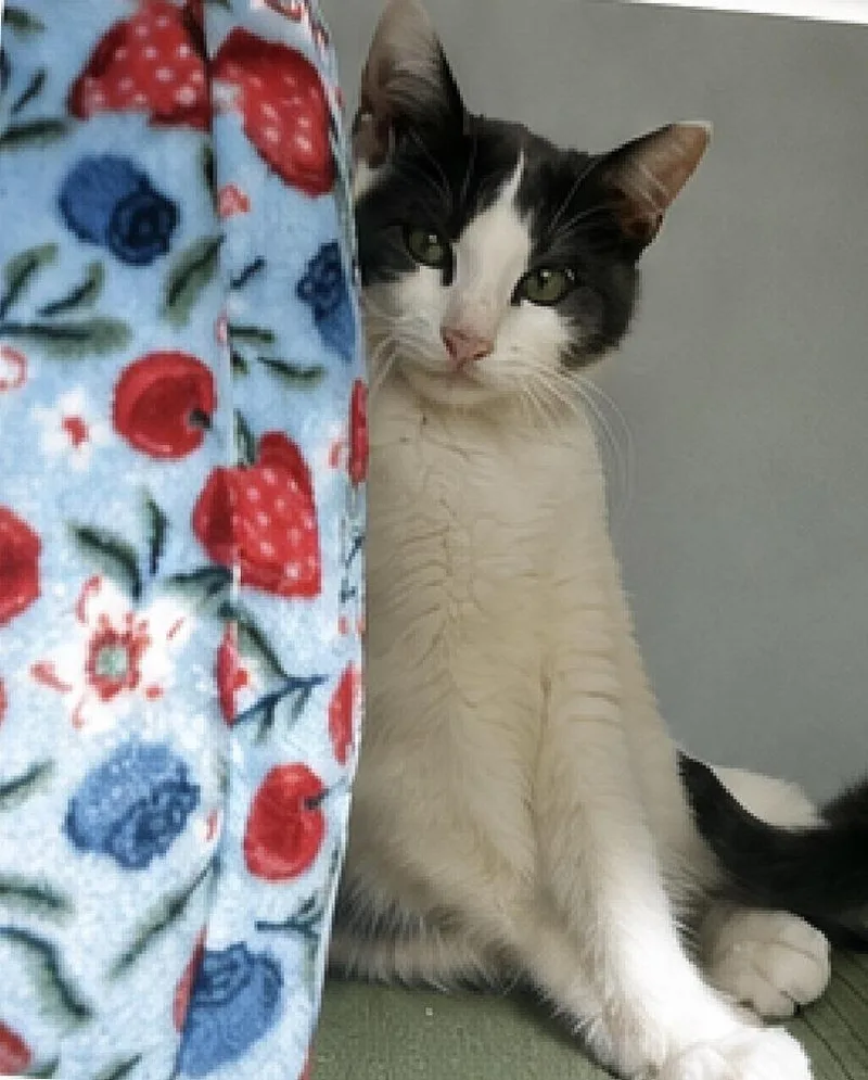 Rosie Posie thumbnail 3