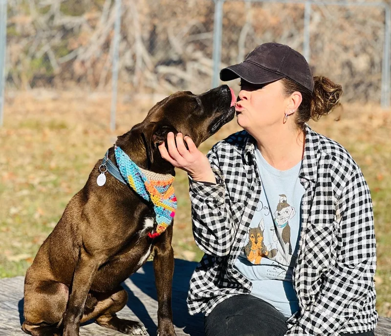 Maverick thumbnail 2