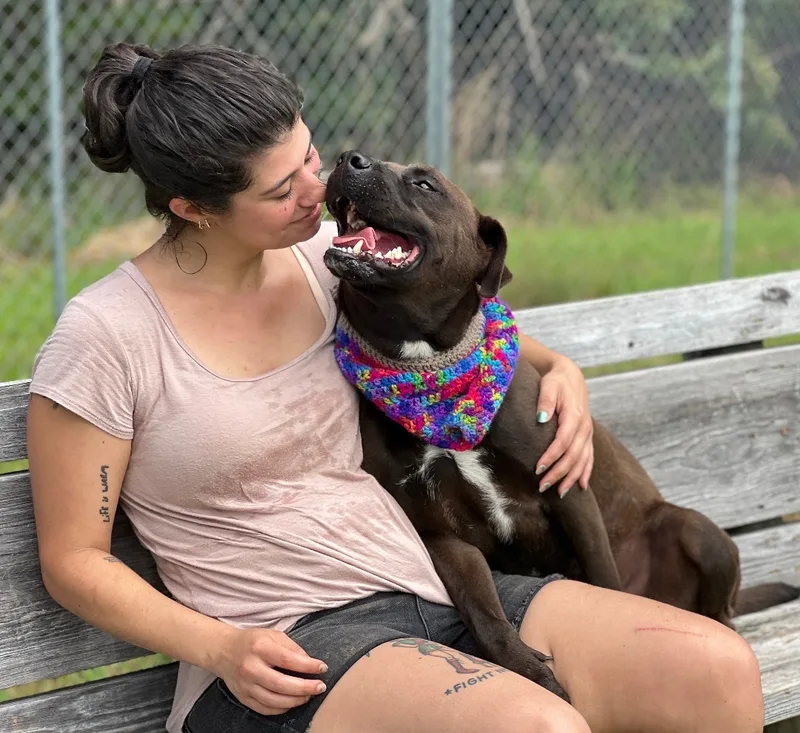 Maverick thumbnail 3