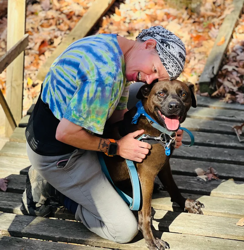 Maverick thumbnail 4