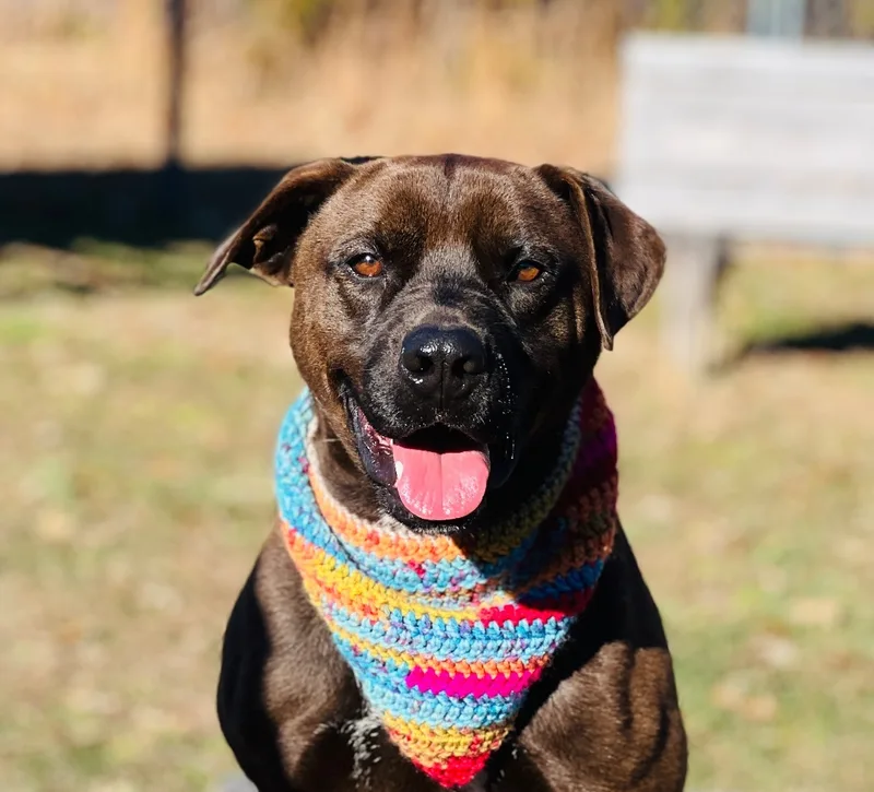 Maverick thumbnail 5