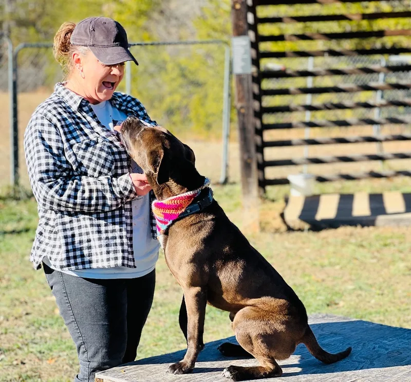 Maverick thumbnail 6