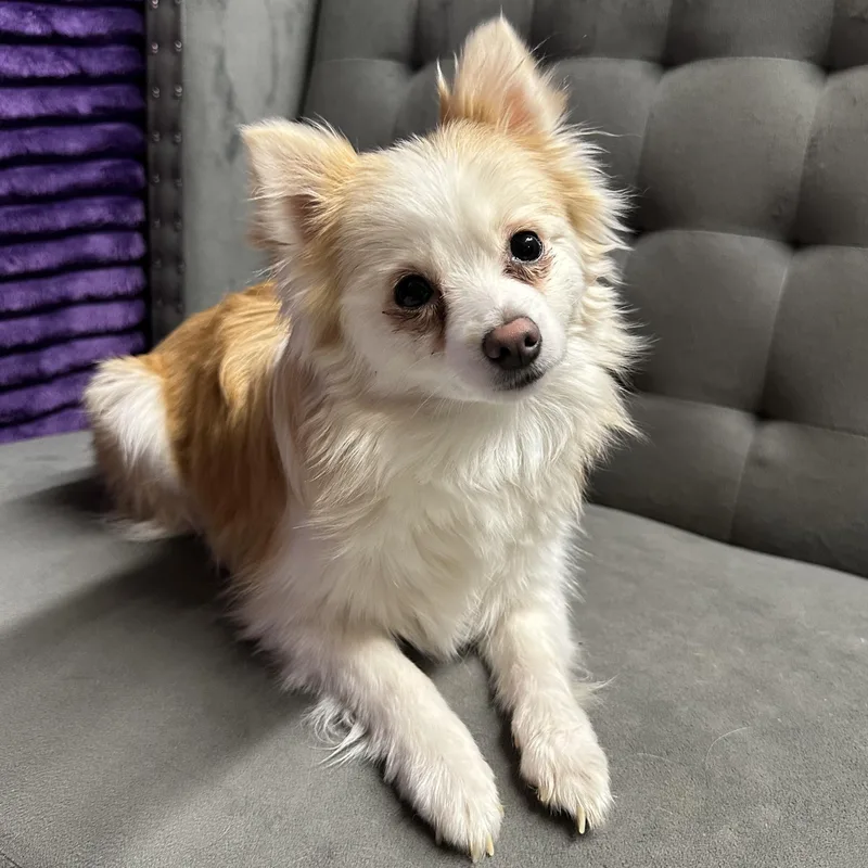 Hope  Home Visit thumbnail 3