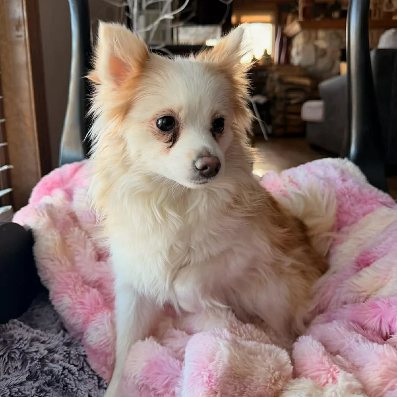 Hope  Home Visit thumbnail 4