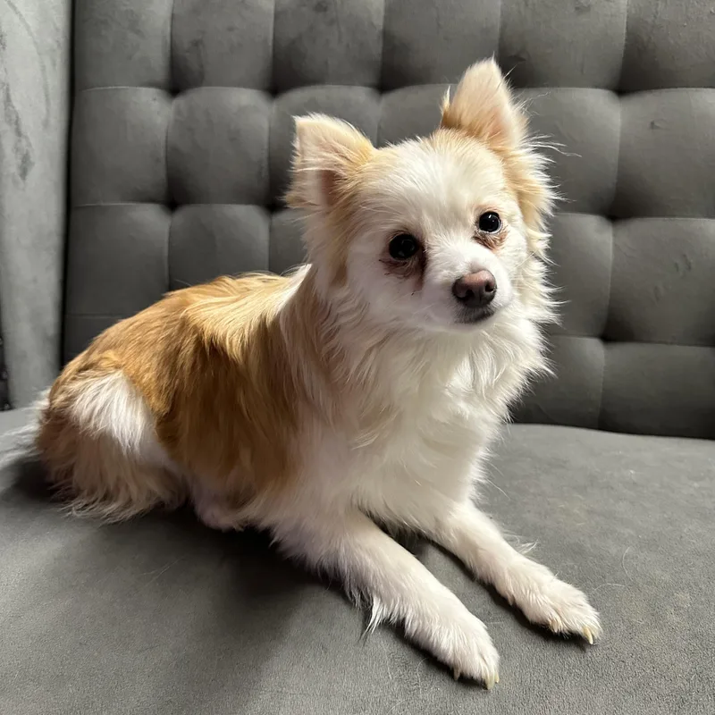 Hope  Home Visit thumbnail 5