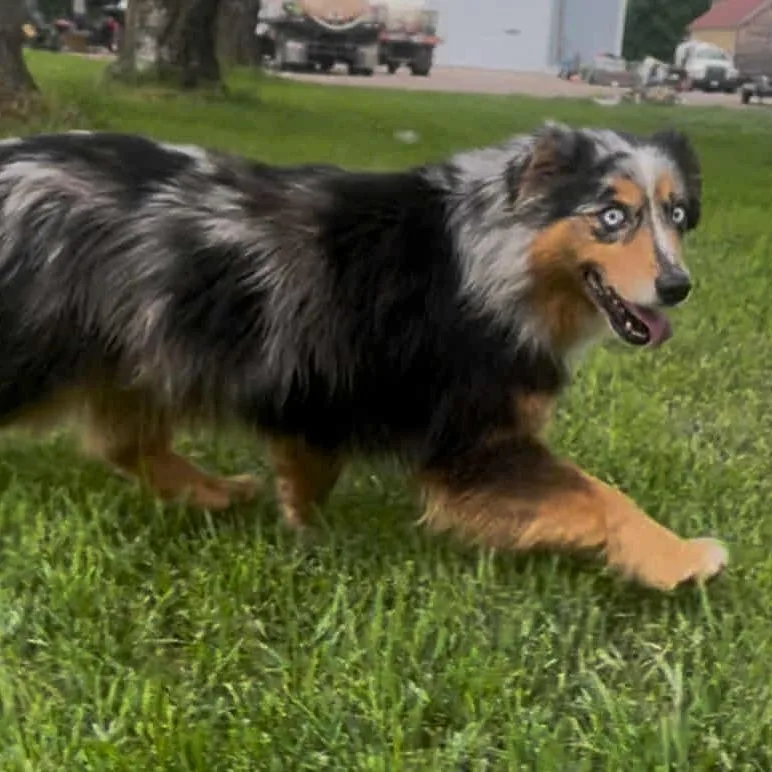 Sadie arrived thumbnail 2