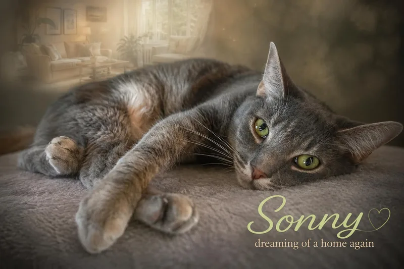 Sonny