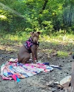 Willy  Never Met thumbnail 3