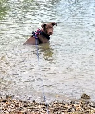 Willy  Never Met thumbnail 5