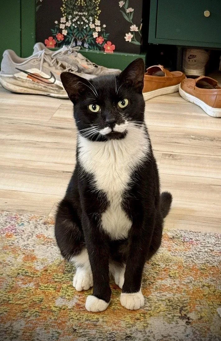 Pringles thumbnail 2