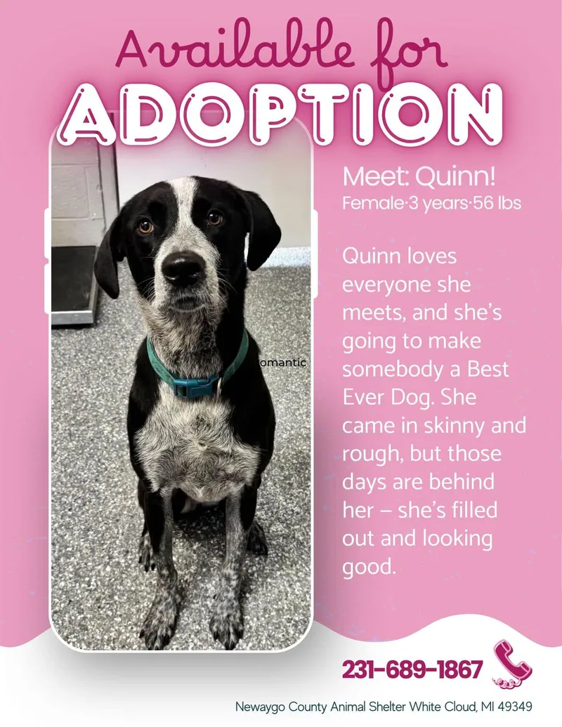 Quinn