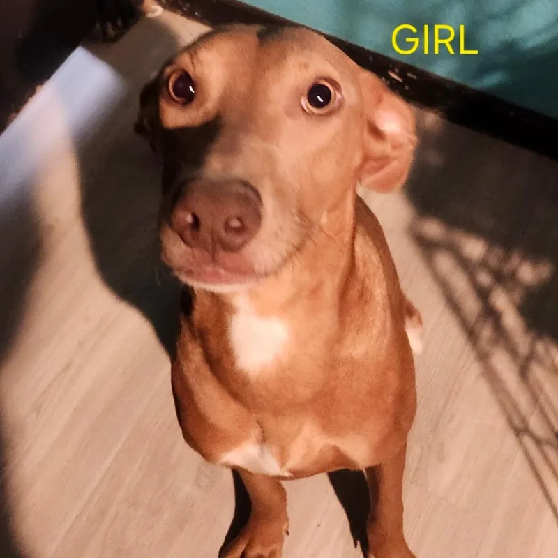 Amy