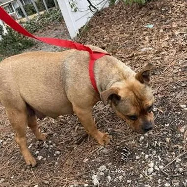 Christine thumbnail 2