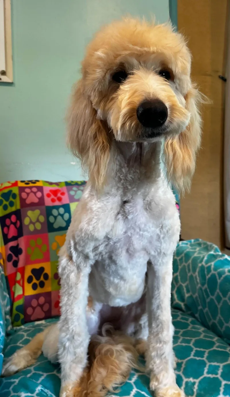 Chloe Feb thumbnail 3