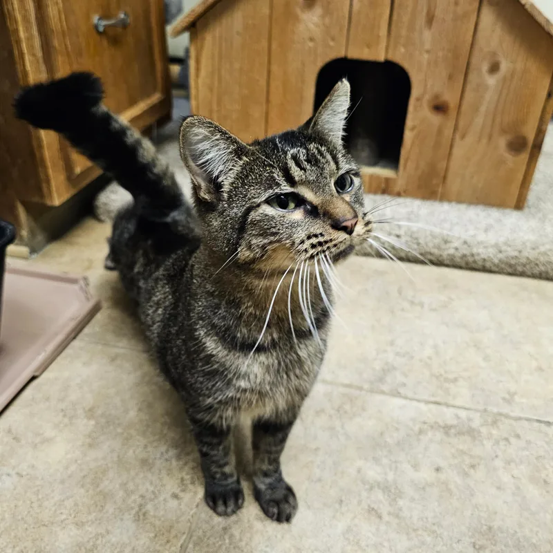 Nick thumbnail 3